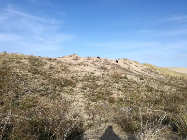 De Panne (België)